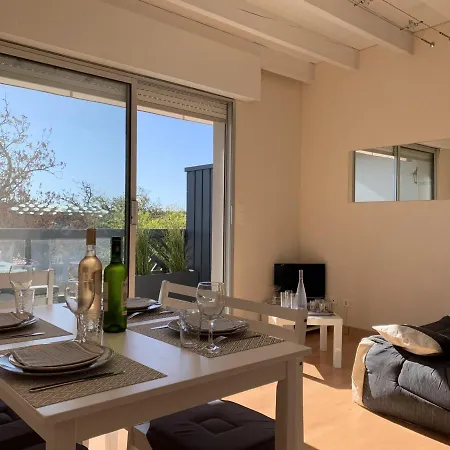 Appartement Magnifique T2 Duplex A Avec Terrasse, Wifi, A 100m De La *